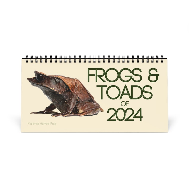 Frogs & Toads of 2024 Desk Calendar Etsy