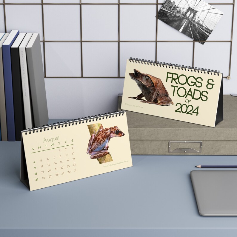 Buy Frogs & Toads of 2024 Desk Calendar Online in India Etsy