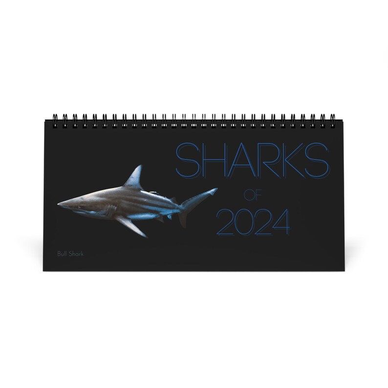 Sharks of 2024 Desk Calendar Etsy