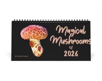 Magical Mushrooms of 2026 Desktop Calendar