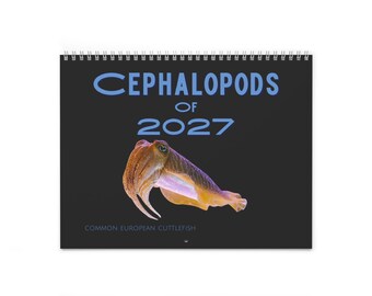 Cephalopods of 2027 Wall Calendars