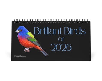 Brilliant Colorful Birds of 2026 Desktop Calendar