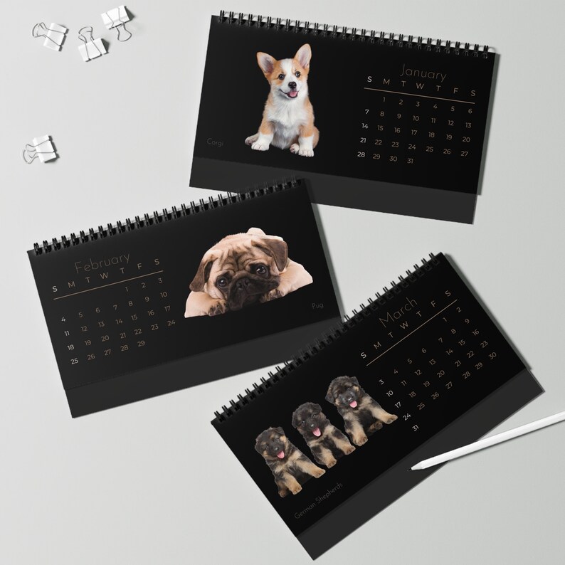 Real Puppies of 2025 Desk Calendar Etsy