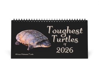 Toughest Turtles of 2026 Desktop Calendar