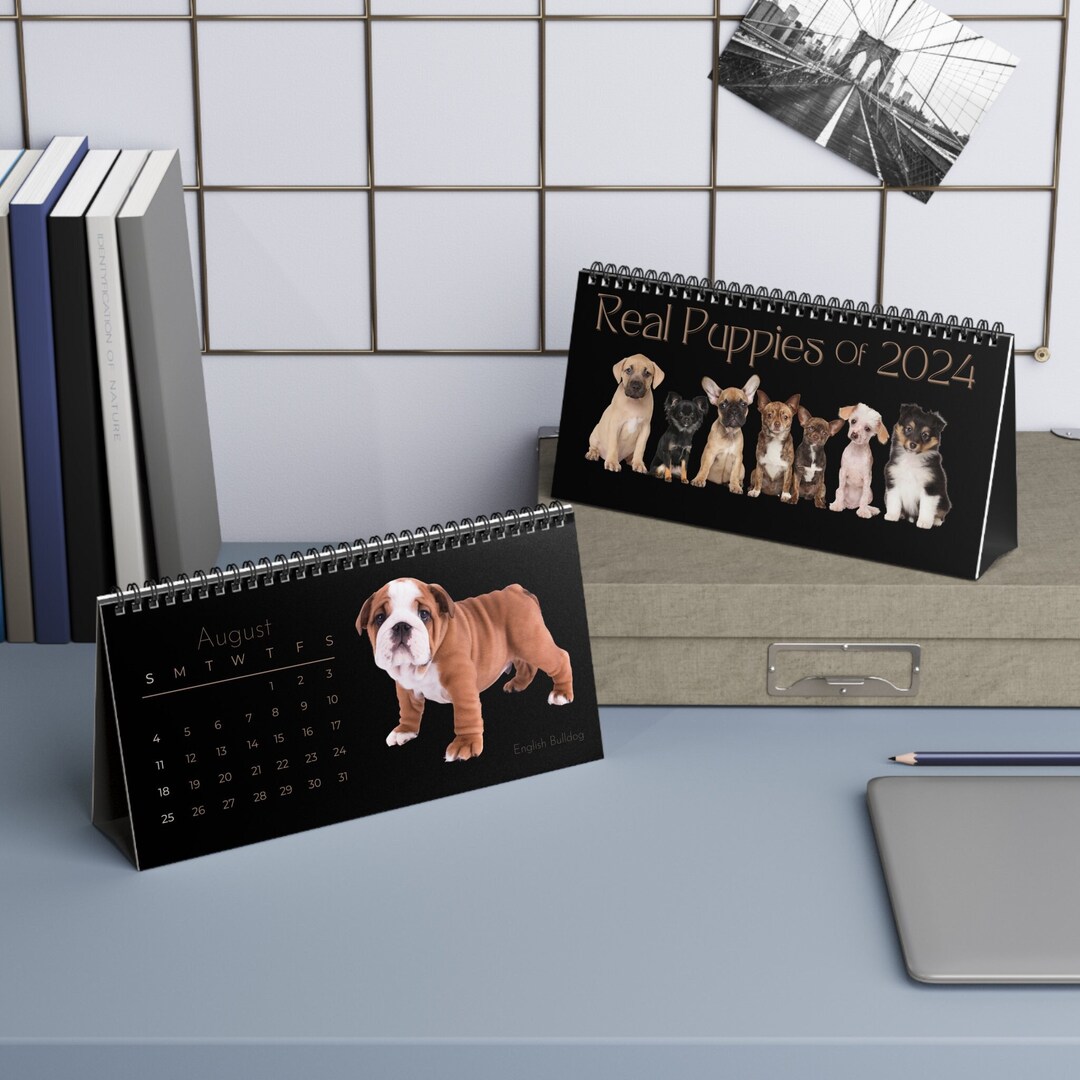 Real Puppies of 2025 Desk Calendar Etsy