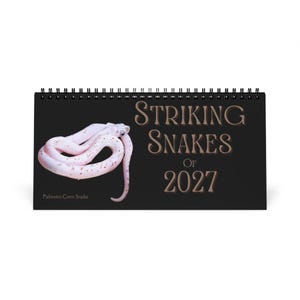 Könnte beinhalten: Ein spiralgebundener Wandkalender mit schwarzem Hintergrund, der eine weiße Palmetto-Kornnatter mit kleinen roten Punkten zeigt. Der Text lautet STRIKING SNAKES OF 2027 in einer großen Serifenschrift, unten links steht Palmetto Corn Snake.