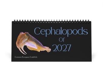 Cephalopods of 2027 Desktop Calendar