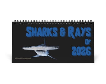 Sharks & Rays of. 2026 Desktop Calendar