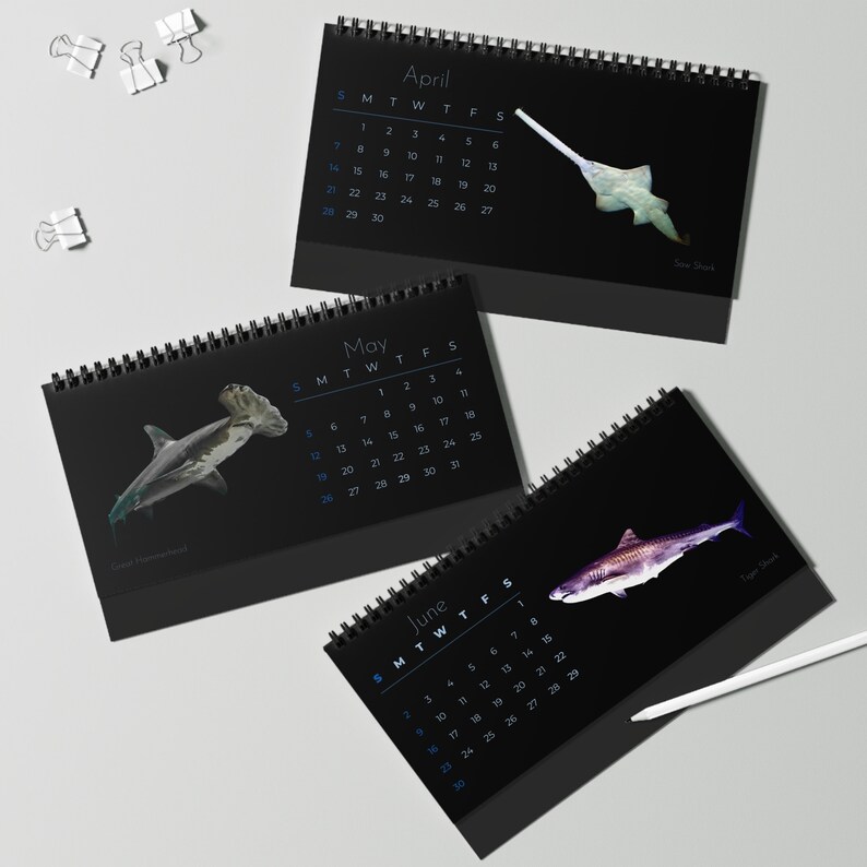 Sharks of 2024 Desk Calendar Etsy