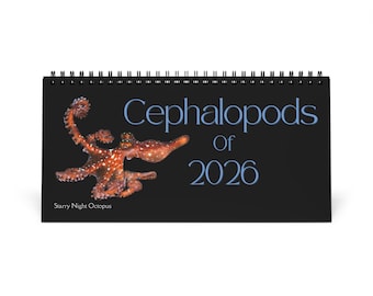 Cephalopods of 2026 Desktop Calendar