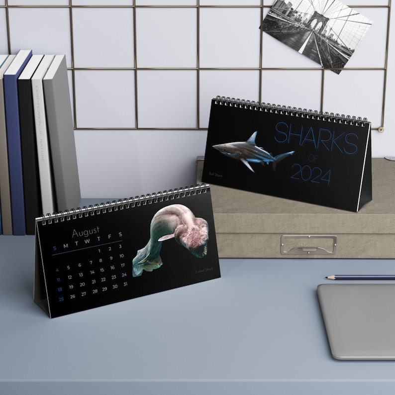 Sharks of 2024 Desk Calendar Etsy