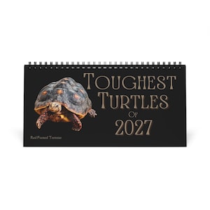 May include: A black spiral-bound desk calendar featuring a photograph of a red-footed tortoise on the left side. The text on the right reads "TOUGHEST TURTLES OF 2027" in a serif font, with "Red Footed Tortoise" printed in the bottom left corner.