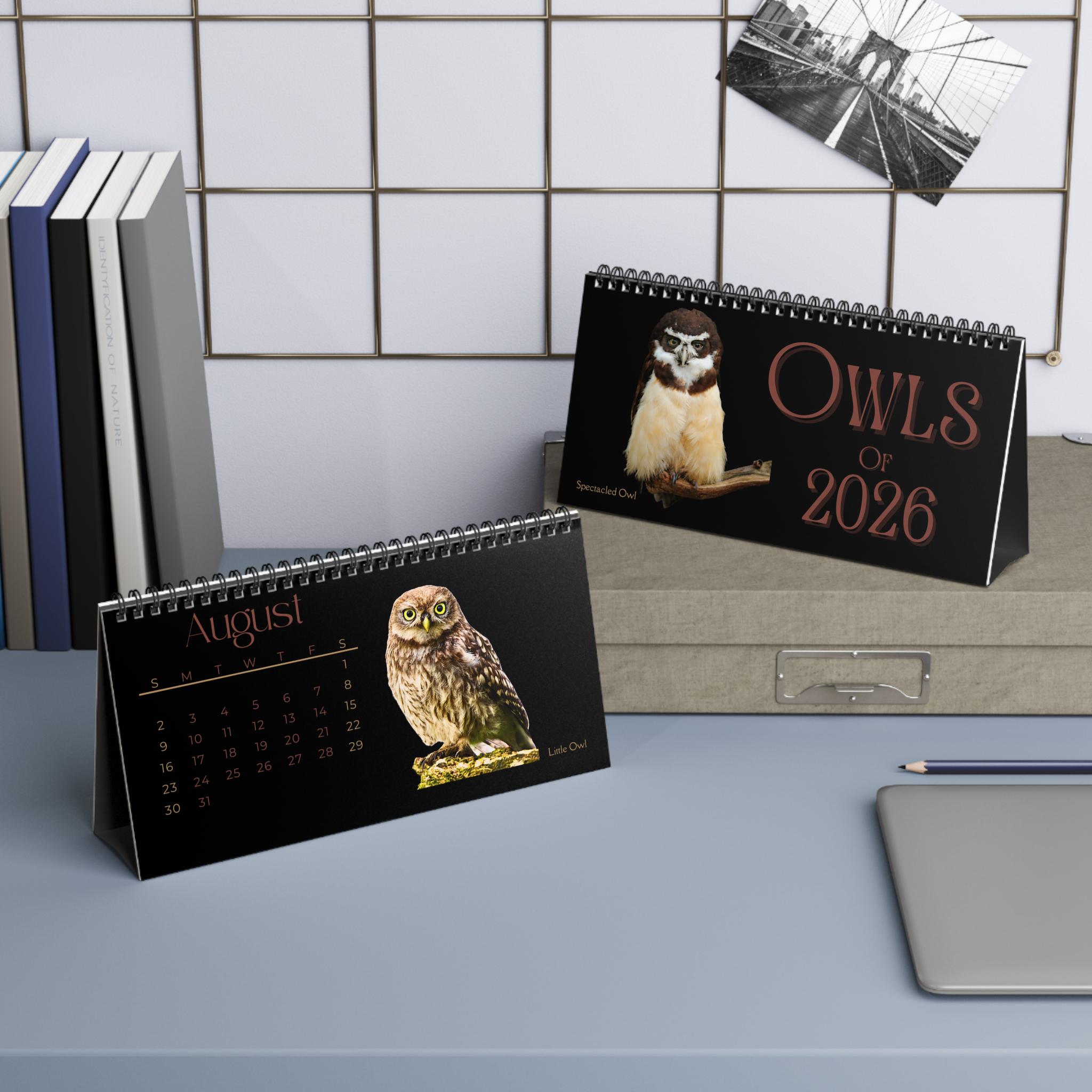 Calendario De Adviento De Búhos 2025 – 24 Mini Figuras De Búhos De Acrílico Pintadas A Mano – Decoración Navideña Para Mesa Y Estantería – Regalo Único Para Coleccionistas