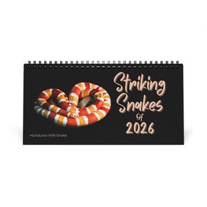 Könnte beinhalten: Ein schwarz gebundener Spiral-Kalender mit einem honduranischen Milchschlange. Die Schlange ist aufgerollt und zeigt rote, orange und weiße Bänder. Der Text "Striking Snakes of 2026" ist kursiv geschrieben.