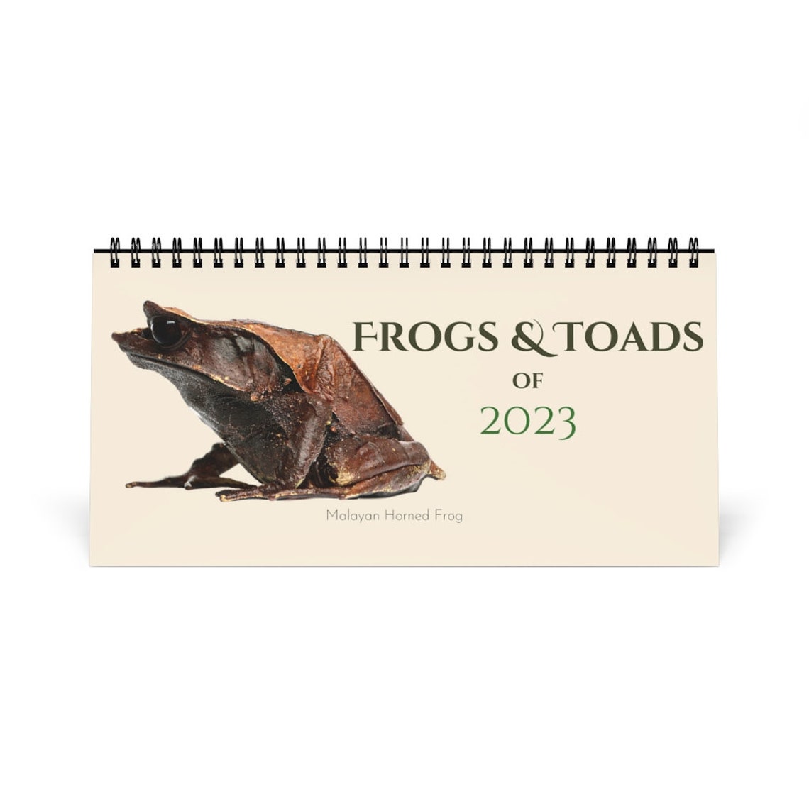 Frogs & Toads of 2023 Desk Calendar Etsy