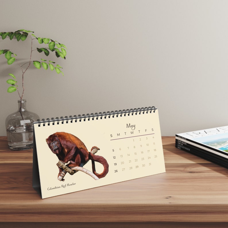 Mightiest Monkeys of 2024 Desk Calendar Etsy