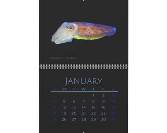 Cephalopods of 2026 Wall Calendar