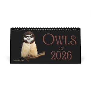 Owls of 2026 Desktop Calendar
