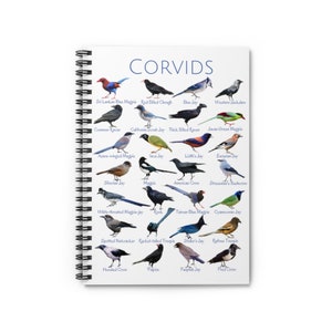 May include: A spiral-bound notebook featuring a detailed illustration of various corvids, including the Blue Jay and American Crow. The title "CORVIDS" is displayed in a navy blue font above the bird illustrations. The notebook has a white cover.