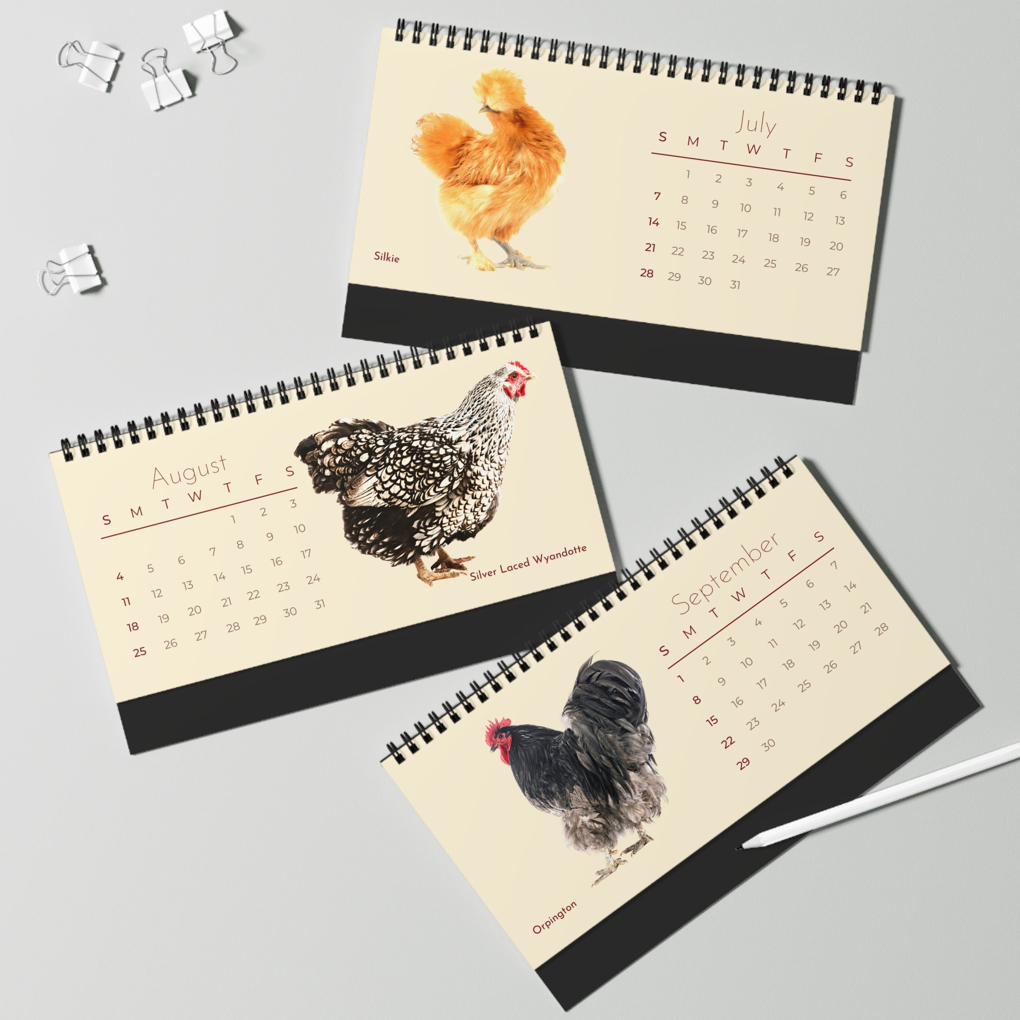 Choice Chickens of 2025 Desk Calendar Etsy Canada