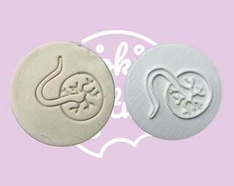 Placenta Baby Shower Cookie Stamp Embosser | Baby Shower Cookie Cutter Embosser | Baby Shower Cookie Stamp Embosser | Stamp Embosser set