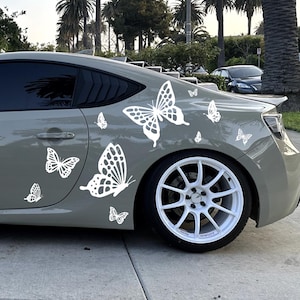 May include: A gray sports car with white butterfly decals on the side. The car has white rims and tinted windows. The background includes palm trees and a residential neighborhood.