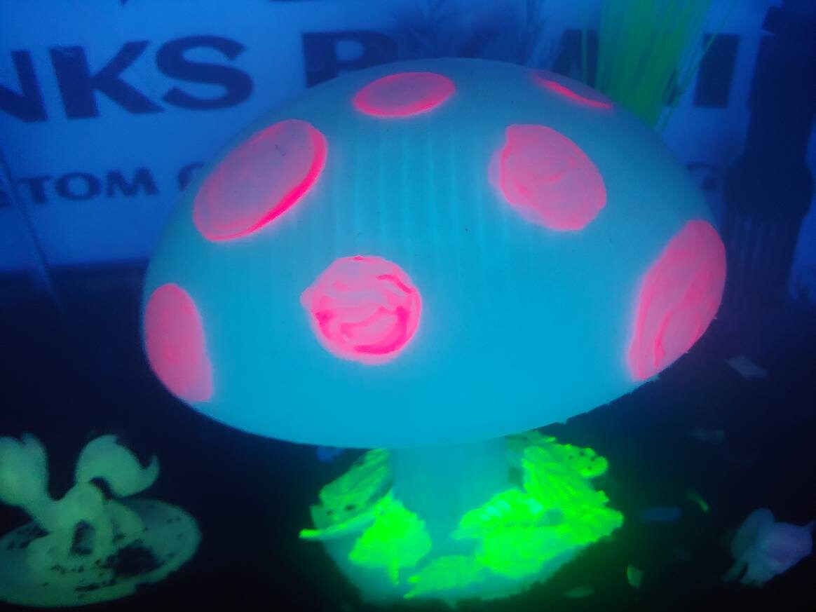 small fish light