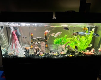 Excited to share my first self made Aquarium! What do you think? 20 gallon  long. Stocking ideas? :) : r/Aquariums