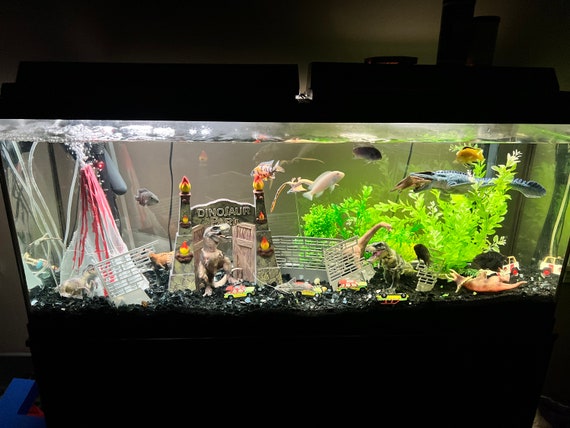 Excited to share my first self made Aquarium! What do you think? 20 gallon  long. Stocking ideas? :) : r/Aquariums
