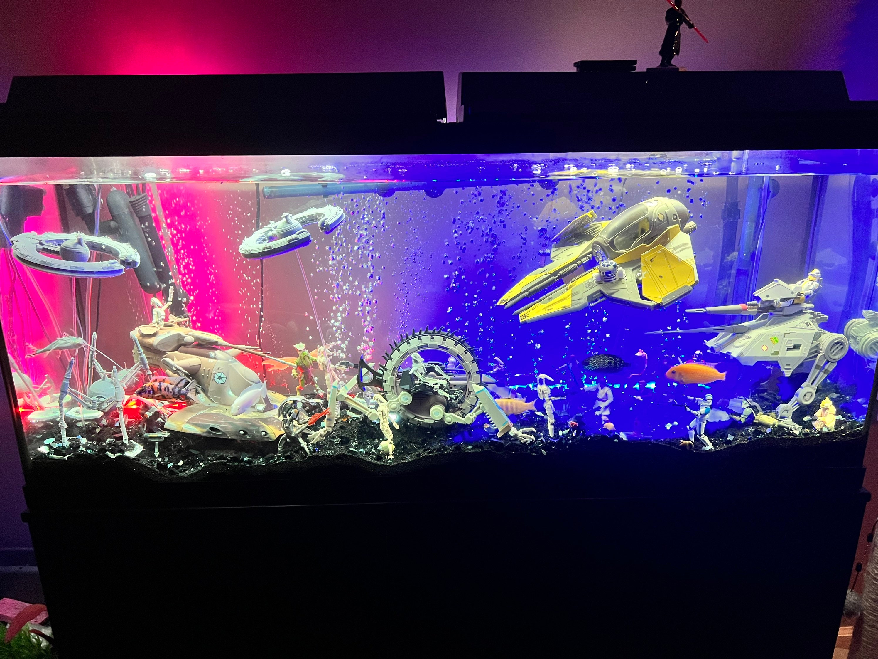 Décoration Pour Aquarium - Temu France