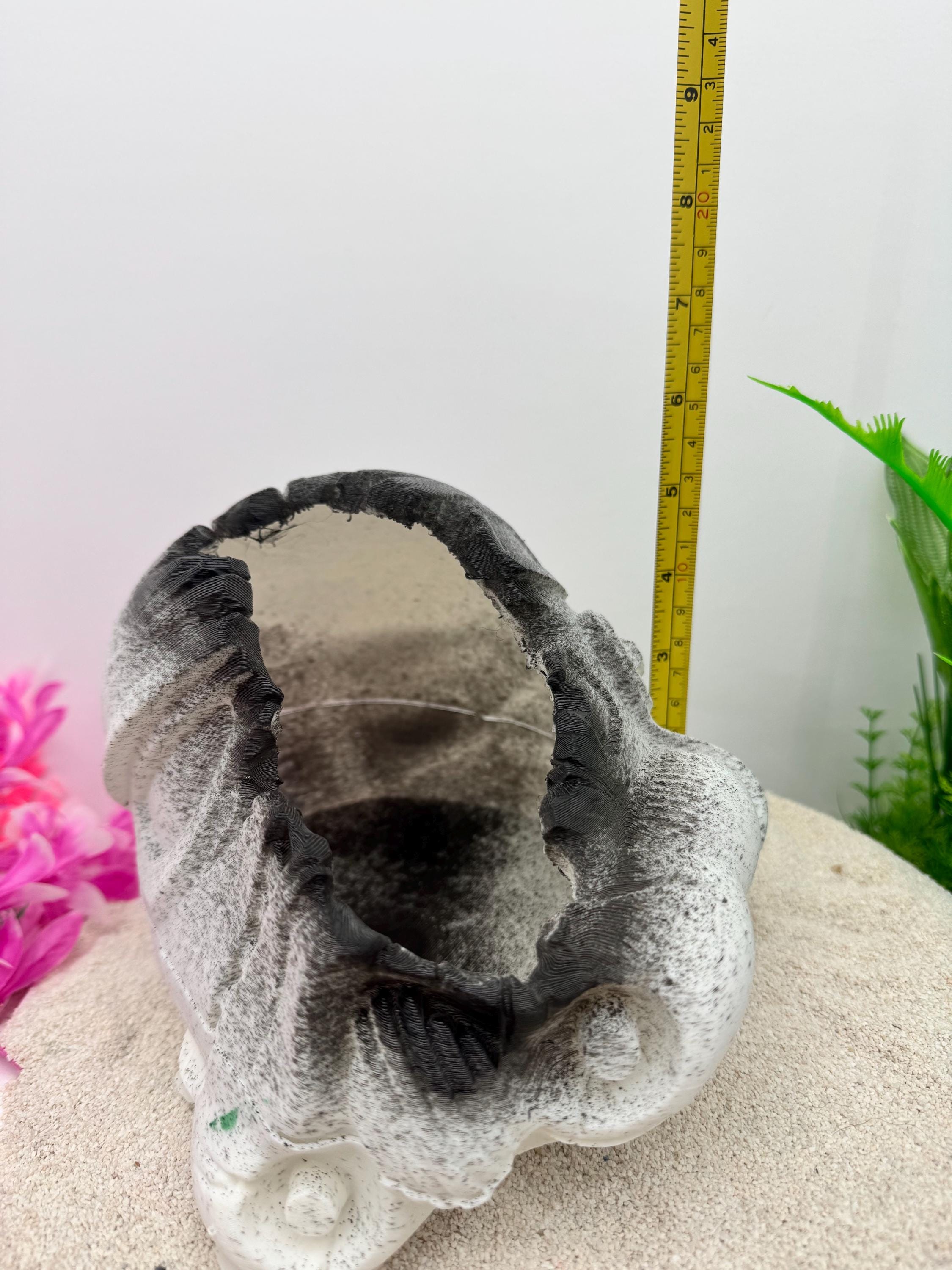 Clone Trooper Helmet Fish Cave / Hide Ruins