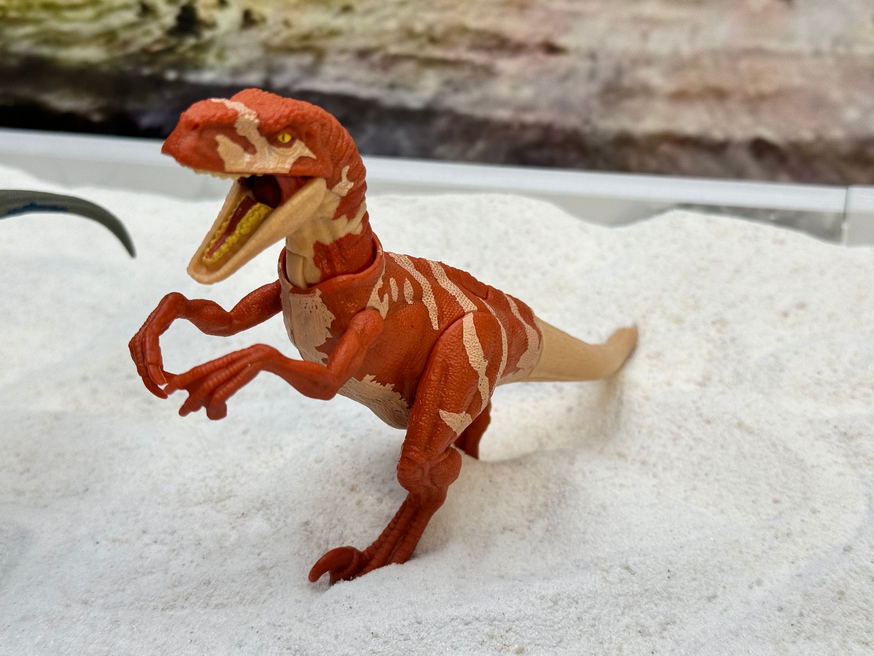 Jurassic Park fish decorations