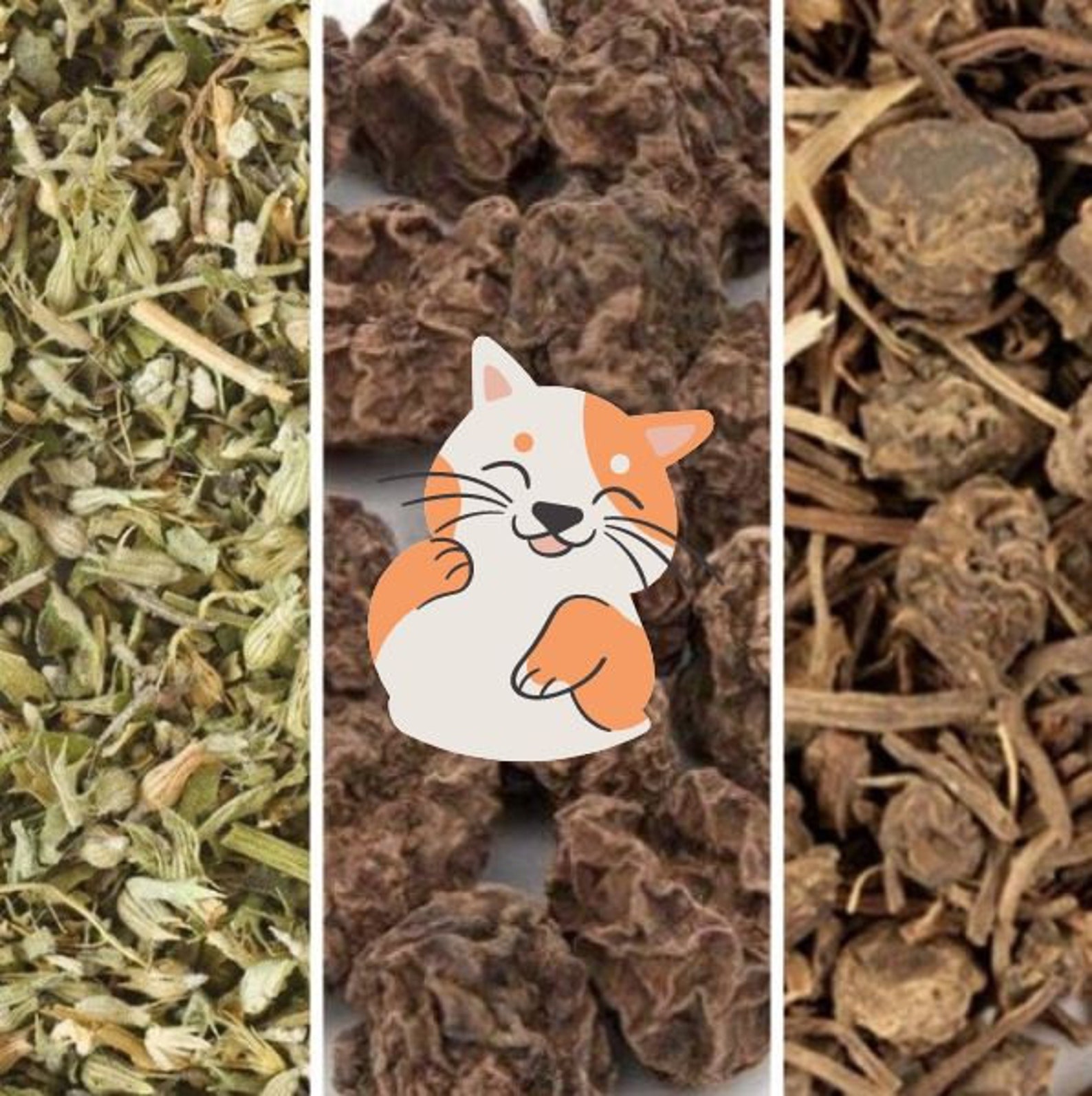 Cat Drugs Sampler Catnip Valerian Root Silvervine Fruit Etsy