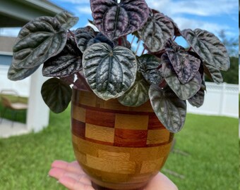Pequeño jarrón de bambú