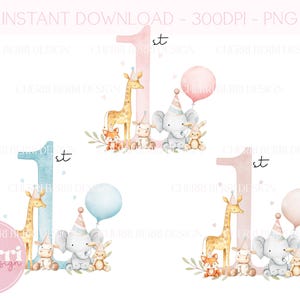 Paquete de primer cumpleaños de Safari PNG, imágenes prediseñadas de primer cumpleaños de animales de la jungla, imágenes prediseñadas de león y jirafa, Safari para bebés uno, diseño de sublimación, Dtf UV