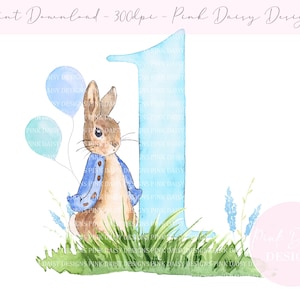 Design de primeiro aniversário de Peter Rabbit, design de coelho de primeiro aniversário, designs de sublimação, design de cartão PNG, download digital instantâneo,