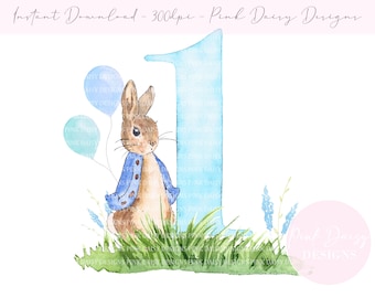 Peter Rabbit 1st Birthday Design, First Birthday Bunny Design, Sublimation Designs, Card PNG Design, Instant Digital Download,
