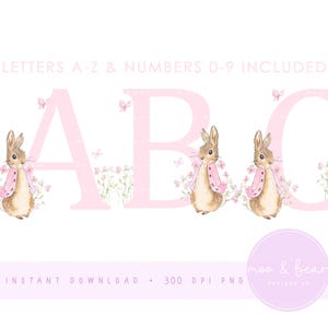 Flopsie Bunny Pink Blumenalphabet & Zahlen PNG, Flopsie Kaninchen 26 einzelne Buchstaben, Zahlen 0-9 PNG, sofortiger digitaler Download