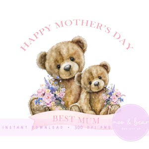 Madre e cucciolo orso PNG, carino orso clipart, primo design di biglietto per la festa della mamma, design del cuscino per la cameretta dei bambini, download digitale istantaneo
