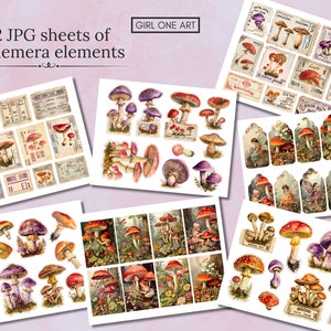 May include: Twelve digital paper sheets featuring illustrations of mushrooms in various colors and styles. The sheets include vintage-inspired designs with mushrooms in a forest setting, mushrooms with fairy wings, and mushrooms with labels and text.