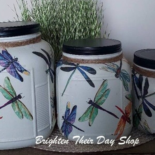 Dragonfly Canisters Etsy
