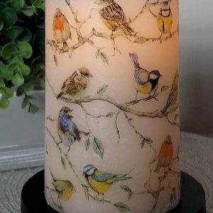 May include: A cylindrical pillar candle with a cream-colored wax surface featuring a printed pattern of various small birds perched on brown branches. The candle is illuminated from within, casting a soft glow, and sits on a black circular base.