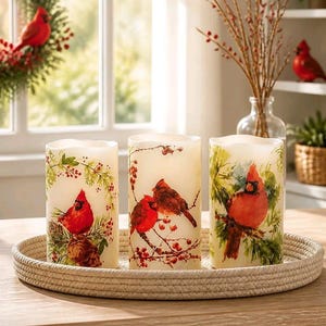 May include: Three cylindrical pillar candles featuring printed illustrations of red cardinal birds perched on pine branches with red berries. The candles are arranged in a row on a round, light-colored woven rope tray with a textured surface.