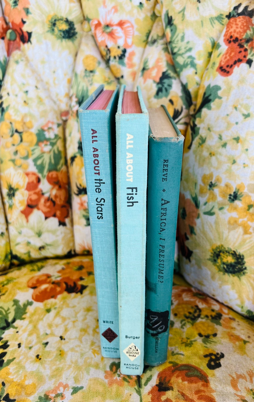 Vintage Turquoise/ Blue Decorative Book Set Etsy