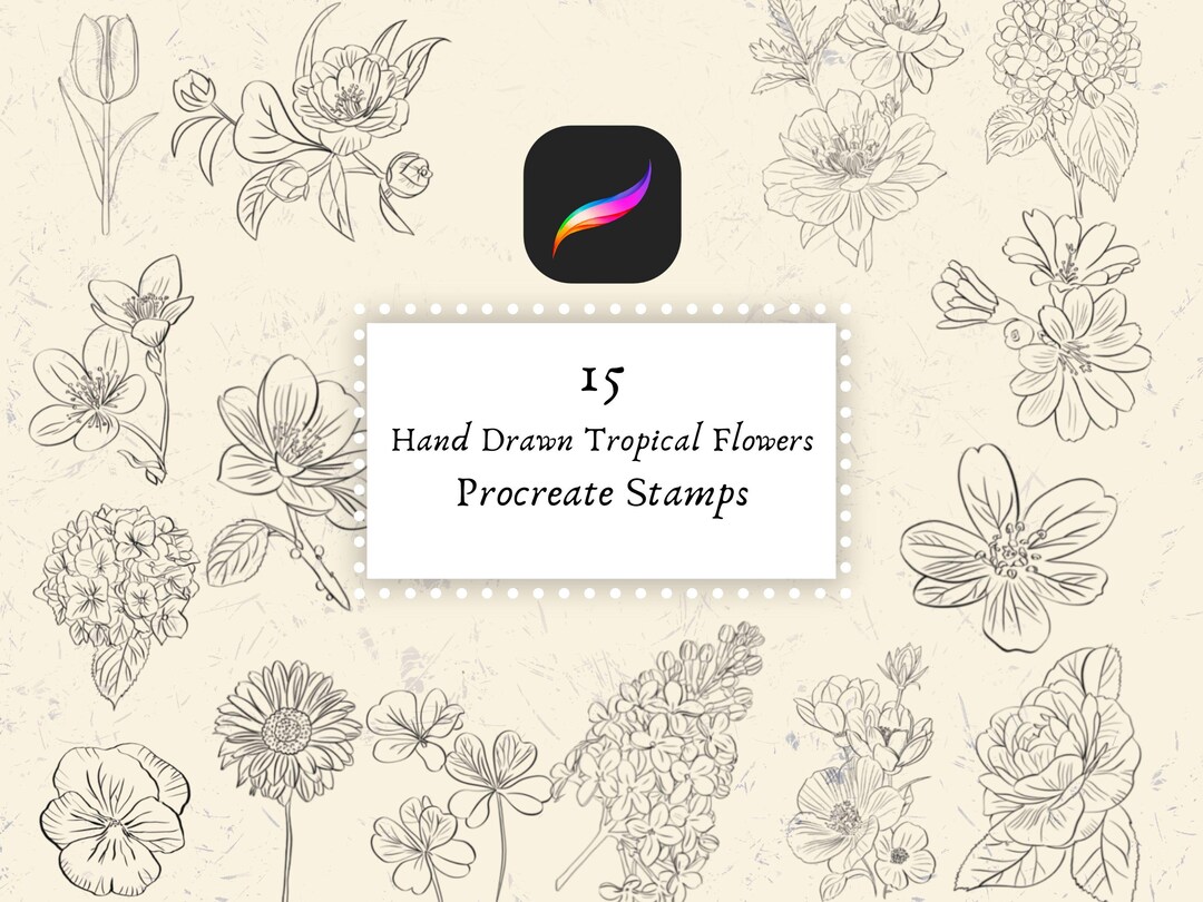 15 Procreate Flower Stamps, Hand Drawn Floral Brushes for Procreate ...