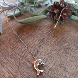 Puede incluir: Un collar de cadena de plata con un colgante de delf&iacute;n de plata. El collar est&aacute; sobre una superficie de madera con hojas verdes y una pi&ntilde;a.