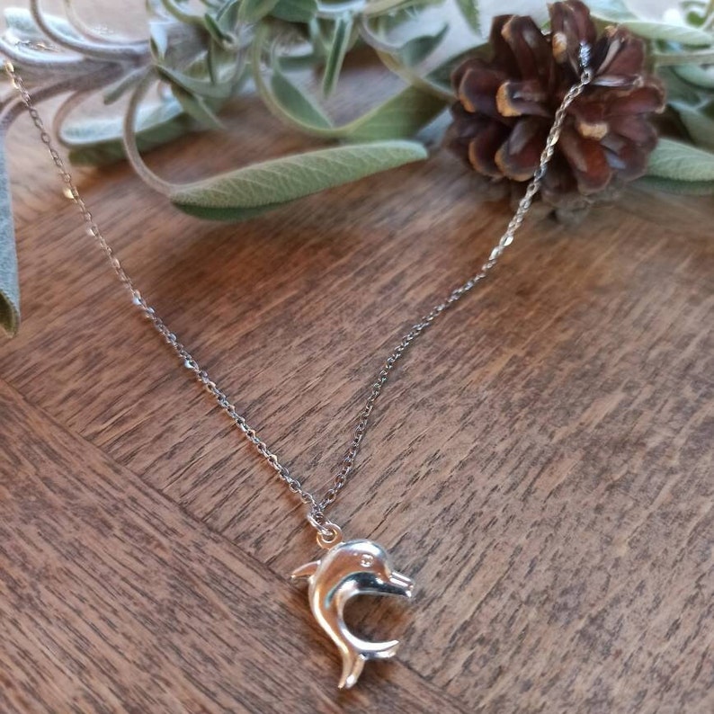 Puede incluir: Un collar de cadena de plata con un colgante de delf&iacute;n de plata. El collar est&aacute; sobre una superficie de madera con hojas verdes y una pi&ntilde;a.