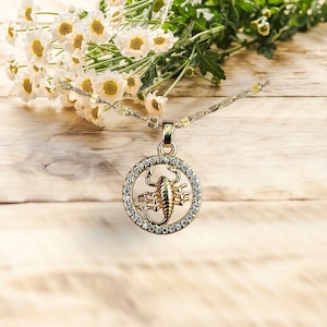 Dames ketting sterrenbeeld sterrenbeeld in roestvrij staal titanium verguld en zirkoon super trendy