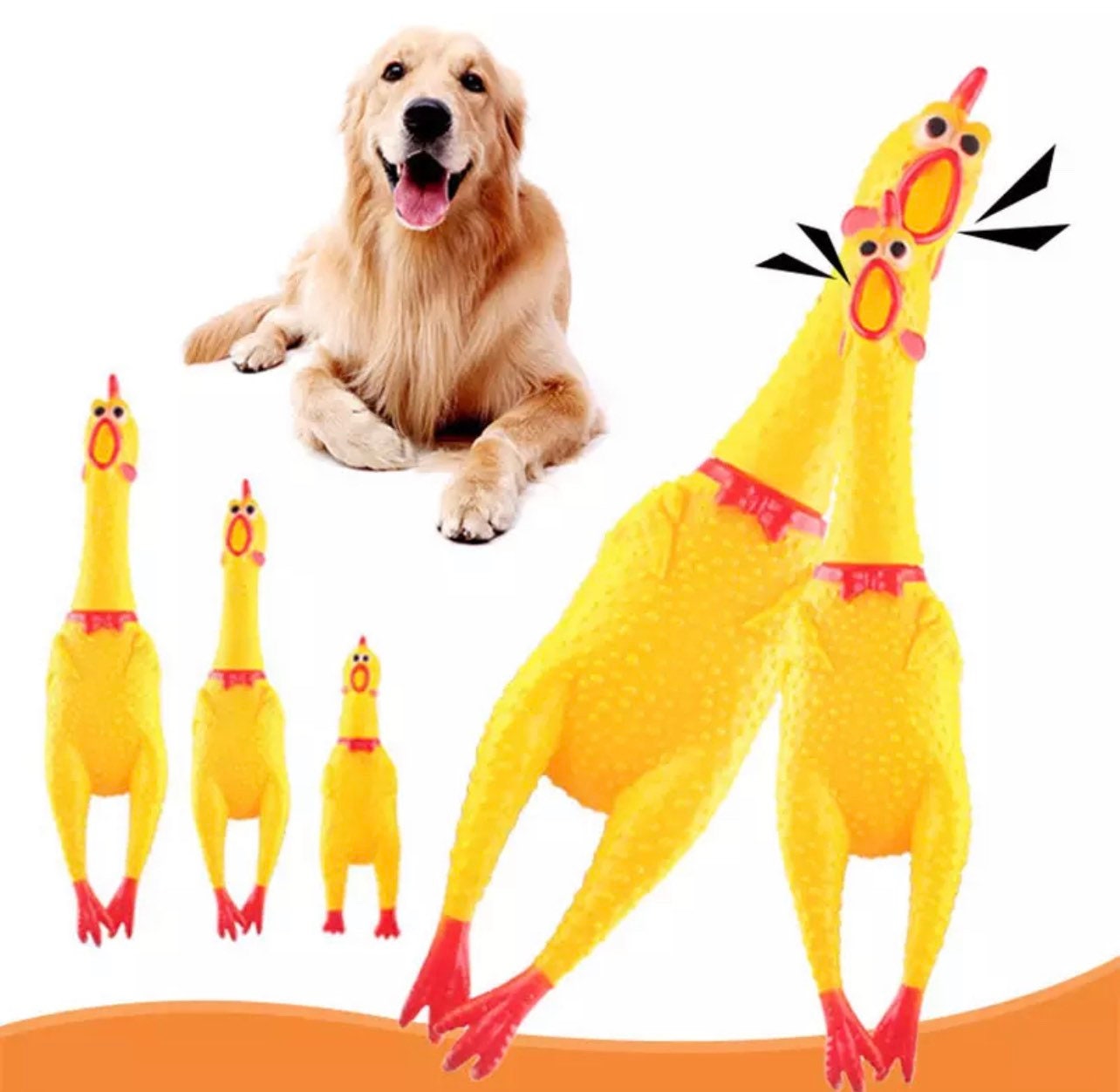 Dog hot sale chicken toy