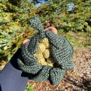 Crochet Amigurumi Roly Poly Pillbug Insect Bug Doll Etsy